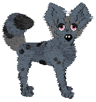 Vanillabel's Scruffy Chique — “Soraya”