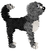 Sz's Garden Party at Vanilla — “Weed”