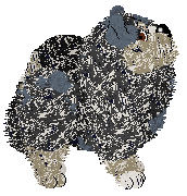 Profile image of Spellbound's Academy of Spells at Wild Road