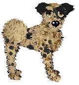 Profile image of Wild Road's Sun Child