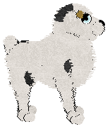 Aura's Blue Boy — “Baby”