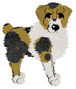 SDX/Aura's Dash of Salt — “French Fry”