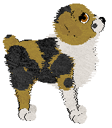 SDX/Aura's Dash of Salt — “French Fry”