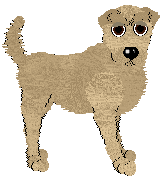 Aura's Wild Rice — “Arroz”