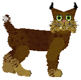 Profile image of PH's Lucky Clover