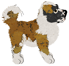 PH's Life in Plastic — “Dolly”