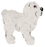 Profile image of Vanilla's Soft Steps Onto Snowdrift @ Mockingbird