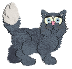 Vanilla's Salt Air Shore @ Mockingbird — “Coast”