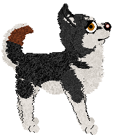 Pachelbel's Still Seal — “Carino”