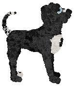 Chachke's Unknown Destination — “Driver”