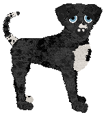 Chachke's Unknown Destination — “Driver”