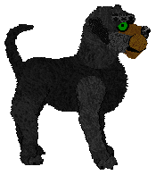 Profile image of PH's Contains My Cash and Cards