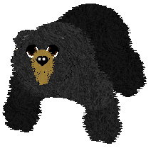 Mockingbird's In Plain Sight You Hid — “Cubit”