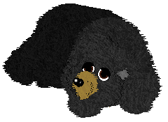 Mockingbird's In Plain Sight You Hid — “Cubit”