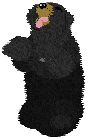 Mockingbird's In Plain Sight You Hid — “Cubit”