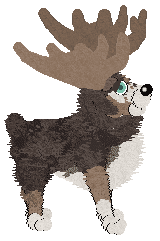 Tuna's Nice Rack at Vanilla — “Brunswick”