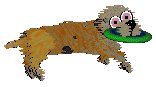 Vanillabel's Piggy in a Blanket — “Sausage”