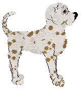 Poppyhill's Summer Delight — “Lemon”