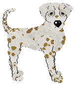 Profile image of Poppyhill's Summer Delight