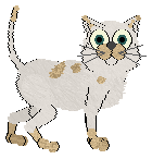 Chachke's Neopian Delicacy — “Negg”