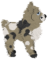 NSP/Aura's Snake In The Grass — “Caine”