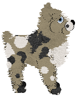 Profile image of NSP/Aura's Snake In The Grass