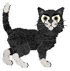 Aura's Salt and Pepper — “Pepper”