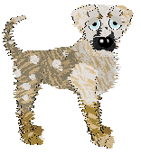 Profile image of Sz's Fragments