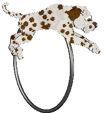 Arash's Don't Be Fooled — “Dupe”