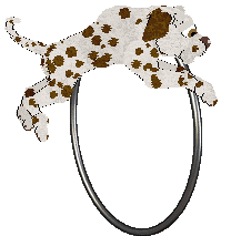 Arash's Don't Be Fooled — “Dupe”