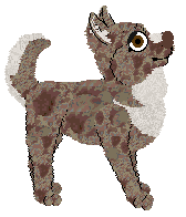 Profile image of Pachelbel's Burnt Toast, Sunday