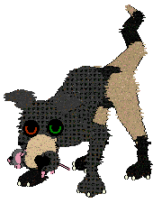 SeaGlass's Stoppin' Traffic — “StreetLight”