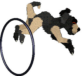 SeaGlass's Stoppin' Traffic — “StreetLight”