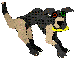 SeaGlass's Stoppin' Traffic — “StreetLight”