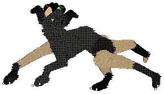 SeaGlass's Stoppin' Traffic — “StreetLight”