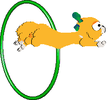 Mercury's Satsuma Shorthair at SeaGlass — “Mikan”