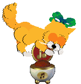 Mercury's Satsuma Shorthair at SeaGlass — “Mikan”