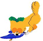 Mercury's Satsuma Shorthair at SeaGlass — “Mikan”