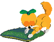 Mercury's Satsuma Shorthair at SeaGlass — “Mikan”