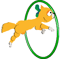 Mercury's Satsuma Shorthair at SeaGlass — “Mikan”