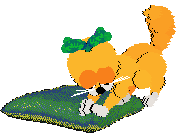 Mercury's Satsuma Shorthair at SeaGlass — “Mikan”