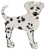 Cargo's Soaring Falcon — “Chayton”