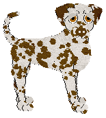 Arash's In the Sun — “Sandra”