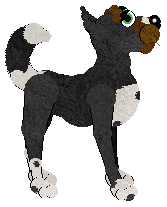 Profile image of Moon Lake's Whiskered Sister