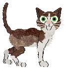 Taremu Chocolate CHOCOLATE — “Bermuda”