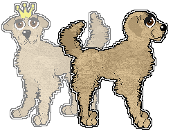 Profile image of Chachke's Golden Hour