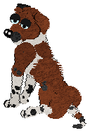 Profile image of Sz's Evening Experiments at Vanilla