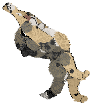 Vanillabel's Desert Dream — “Oasis”