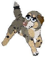 Profile image of Vanillabel's Desert Dream