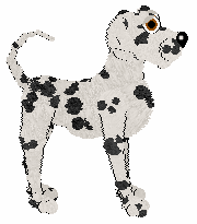 Cargo's Back And Forth at Amenity — “Palindrome”